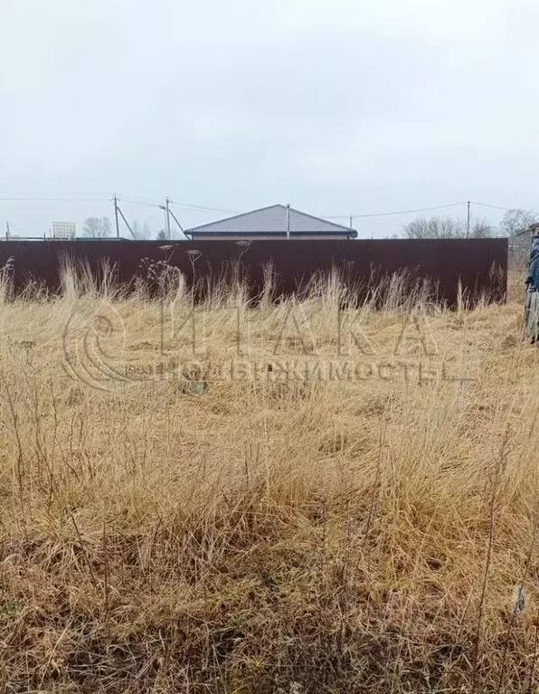 Участок в Ленинградская область, Кингисеппский район, Большелуцкое ... - Фото 2