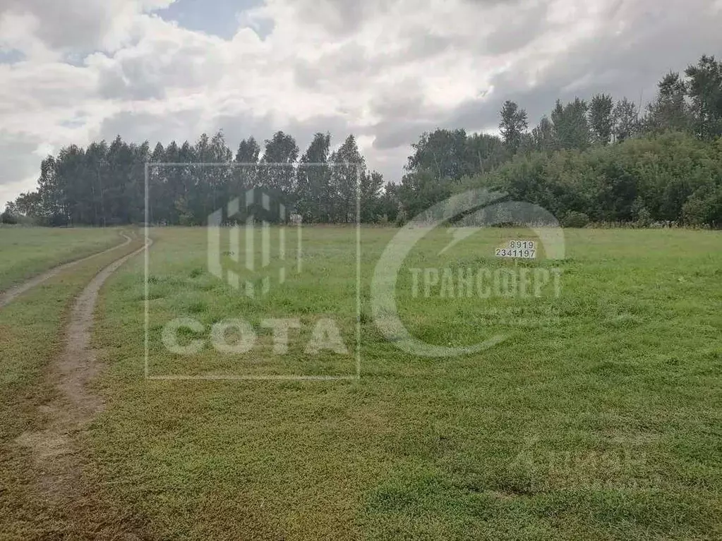 Участок в Воронежская область, Верхнехавский район, с. Большая ... - Фото 2