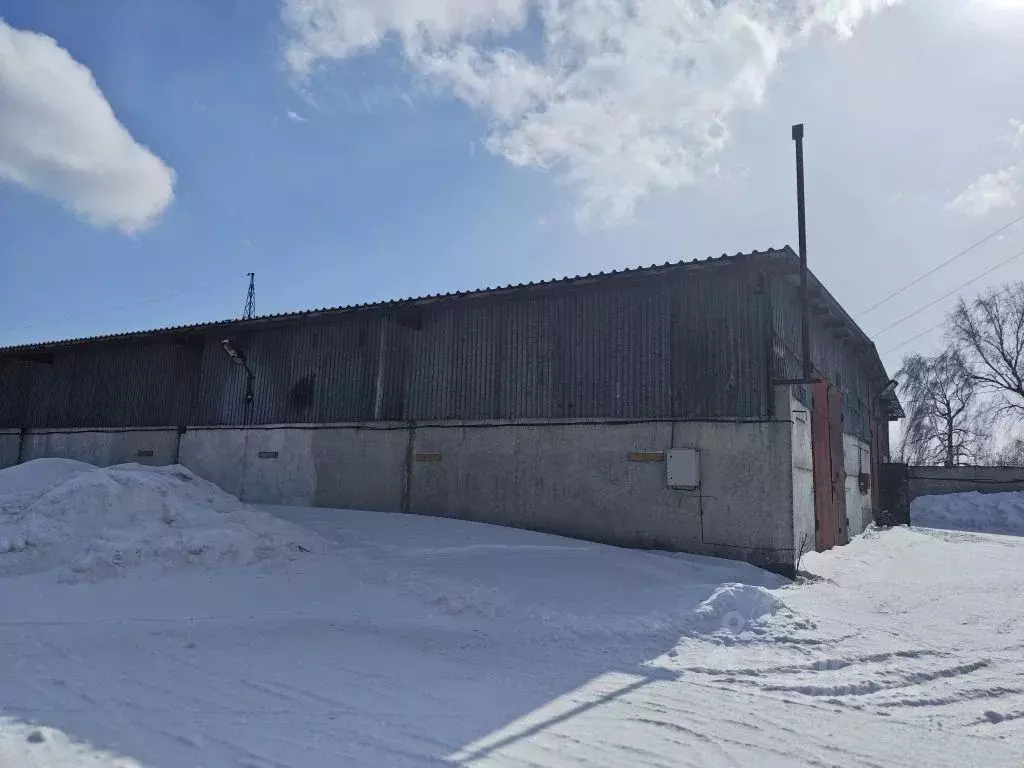 Склад в Алтайский край, Бийск Кожзаводская ул., 2 (949 м) - Фото 2