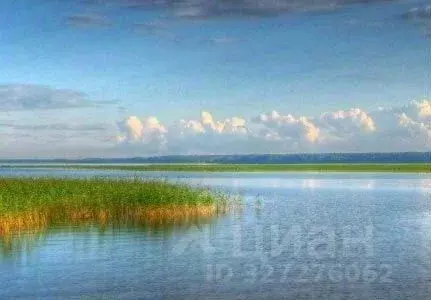 Участок в Ленинградская область, Приозерский район, Плодовское с/пос, ... - Фото 2