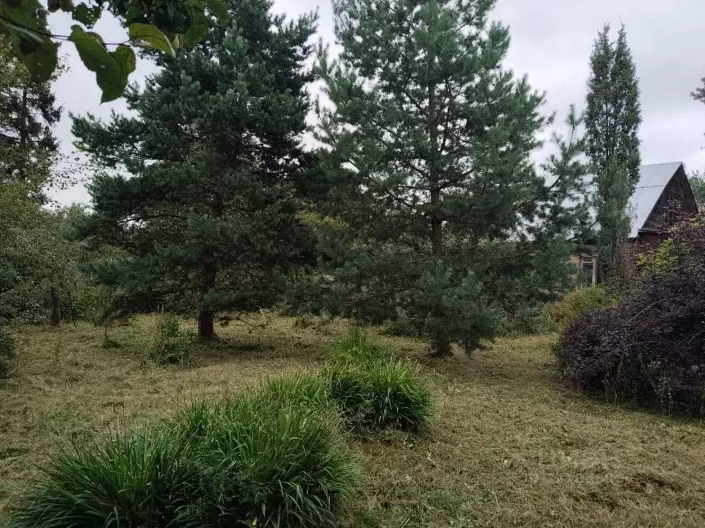 Дом в Москва Отдых СНТ, 79 (70 м) - Фото 0