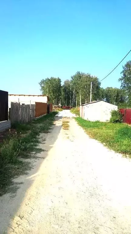 Участок в Новосибирская область, Новосибирский район, Ярковский ... - Фото 1