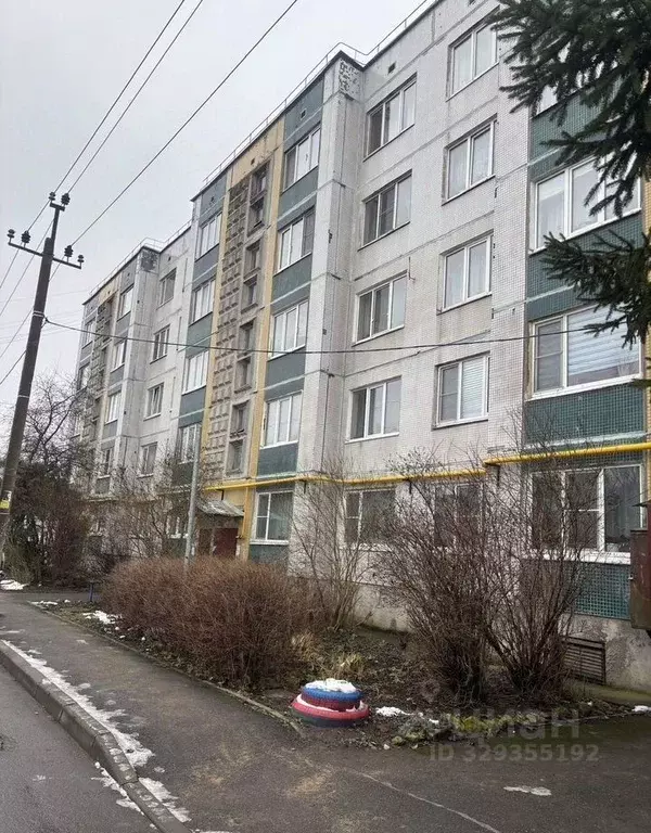 Комната Ленинградская область, Гатчинский муниципальный округ, д. ... - Фото 1