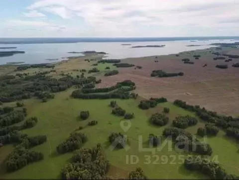 Участок в Новосибирская область, Ордынский район, с. Новопичугово ... - Фото 2