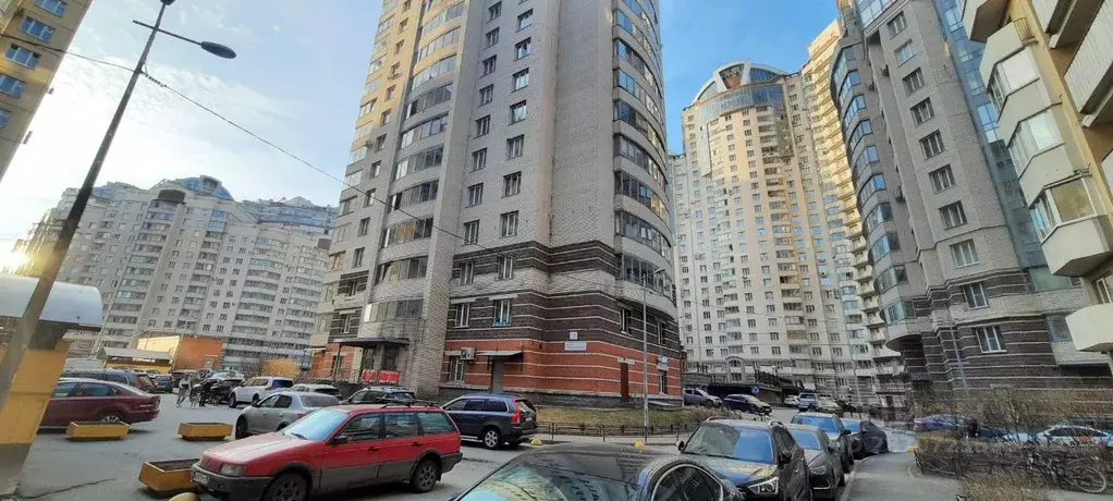 Помещение свободного назначения в Санкт-Петербург просп. Луначарского, ... - Фото 2