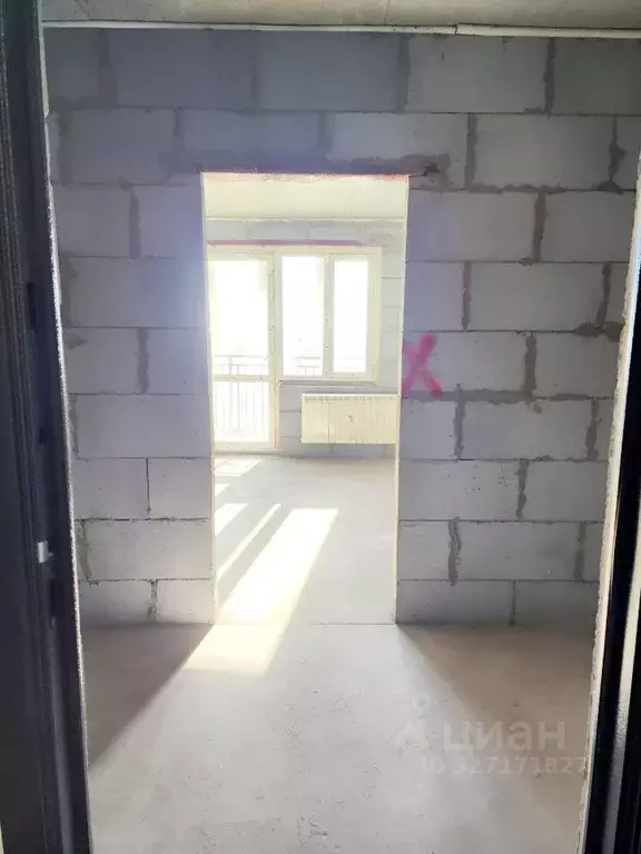 Студия Амурская область, Благовещенский район, с. Чигири ул. ... - Фото 2