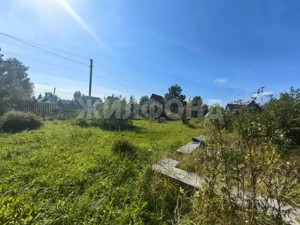 Участок в Новосибирская область, Новосибирский район, Морской ... - Фото 1