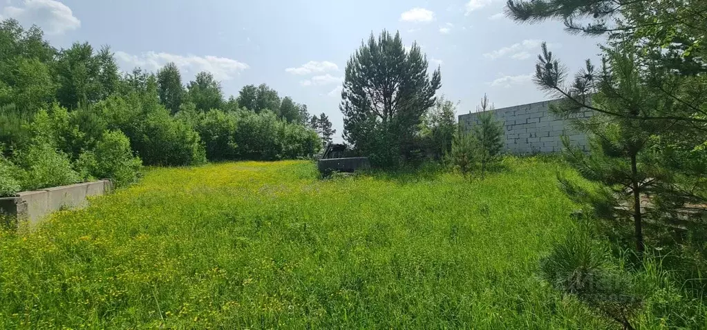 Участок в Томская область, Томский район, пос. Копылово ул. ... - Фото 1