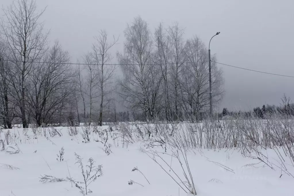 Участок в Москва д. Белоусово, 13В (18.03 сот.) - Фото 2