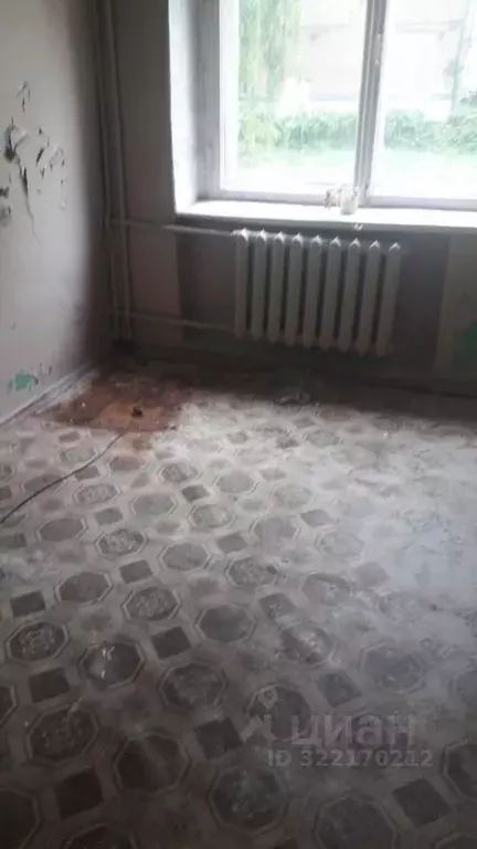 Помещение свободного назначения в Курская область, Курский район, ... - Фото 1