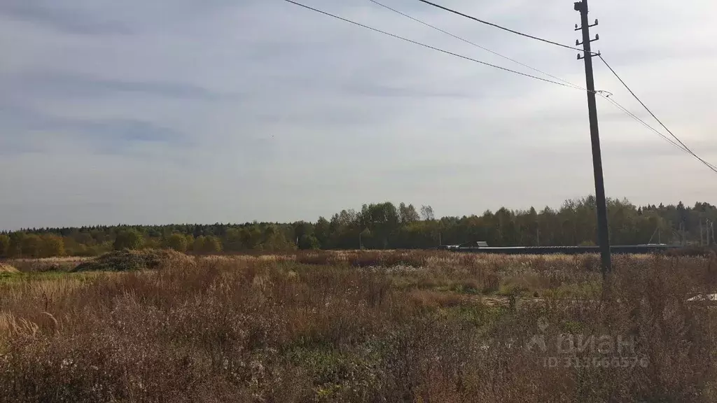 Участок в Московская область, Сергиево-Посадский городской округ, д. ... - Фото 0