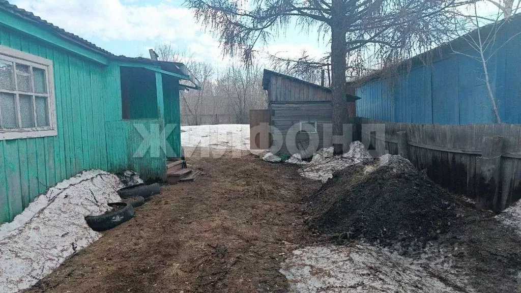 Дом в Новосибирская область, Колывань рп ул. Кедровая (68 м) - Фото 2