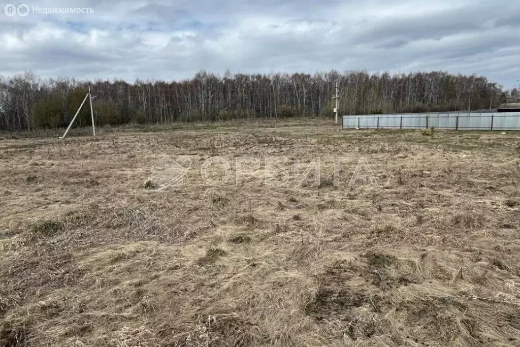 Участок в Тюмень, садовое товарищество Якорь, Лимонная улица, 541 (6 ... - Фото 1