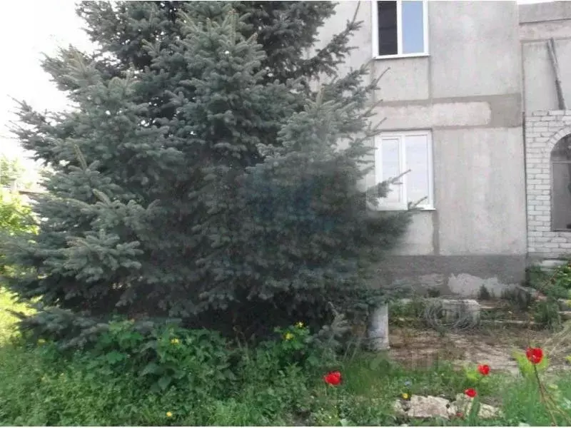 Дом в Воронежская область, Рамонский район, Карачунское с/пос, с. ... - Фото 2