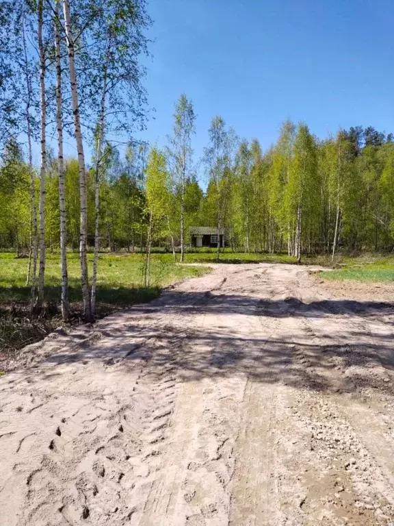 Участок в Ленинградская область, Приозерский район, Ларионовское ... - Фото 1