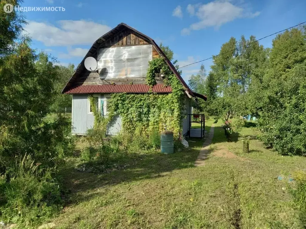 Купить Дачный Участок В Ленобласти Недорого