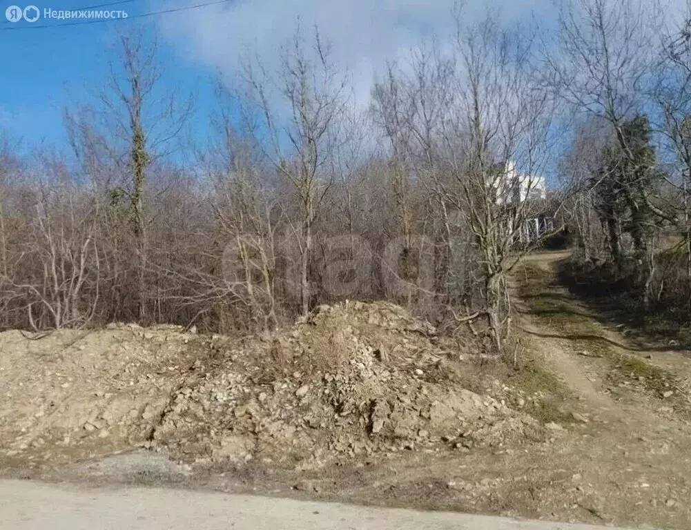 Участок в Краснодарский край, городской округ Новороссийск, СТ Дюрсо ... - Фото 2