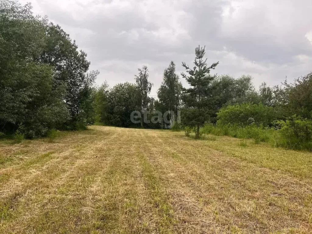 Участок в Московская область, Луховицы городской округ, д. Ивняги, ... - Фото 0