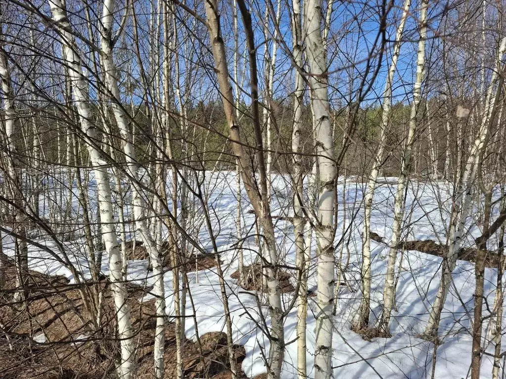 Участок в Московская область, Орехово-Зуевский городской округ, д. ... - Фото 2