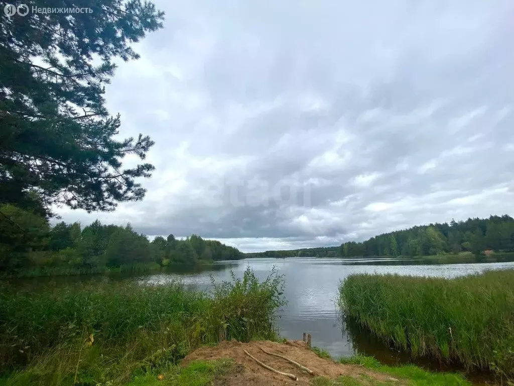 Участок в Пасеговское сельское поселение, деревня Стрижи, Восточная ... - Фото 1