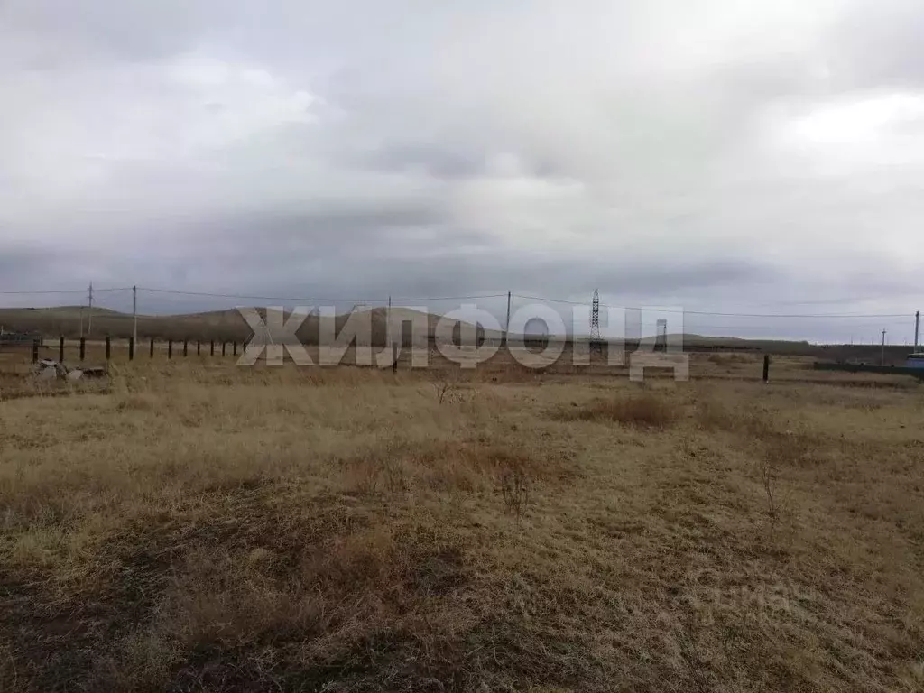 Участок в Забайкальский край, Борзя Кольцевая ул. (9.0 сот.) - Фото 1