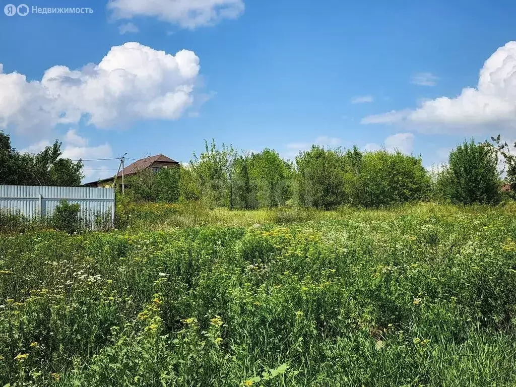 Участок в Белгородский район, Крутологское сельское поселение, село ... - Фото 1