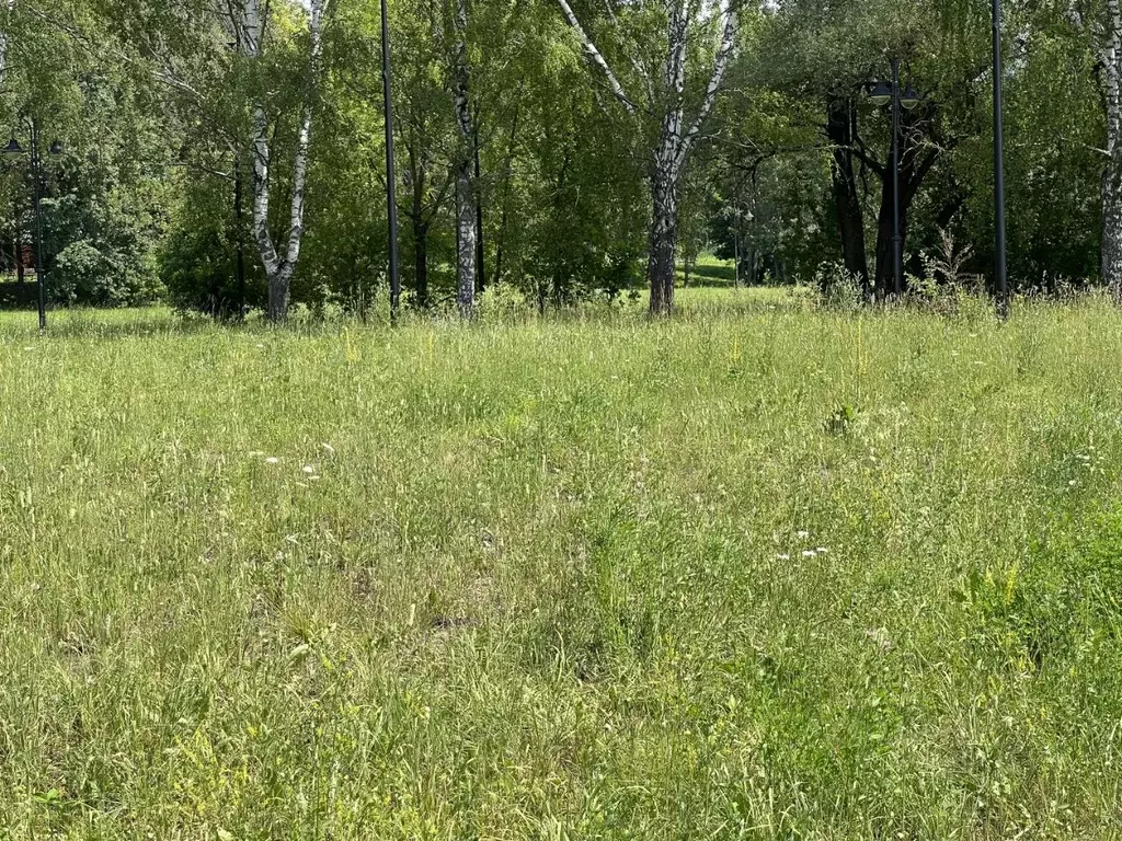 Участок в Московская область, Красногорск городской округ, д. ... - Фото 1