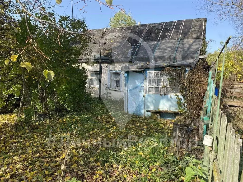 Дом в Рязанская область, Михайловский муниципальный округ, с. Голдино ... - Фото 1