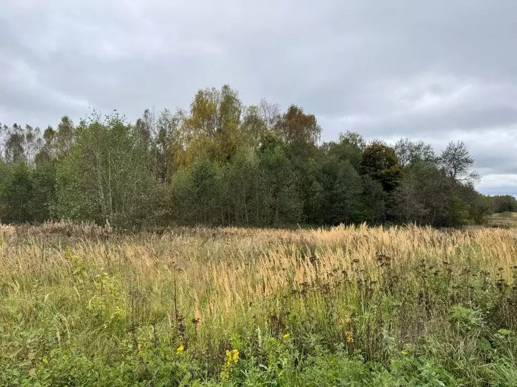 Участок в Московская область, Солнечногорск городской округ, д. Мостки ... - Фото 1