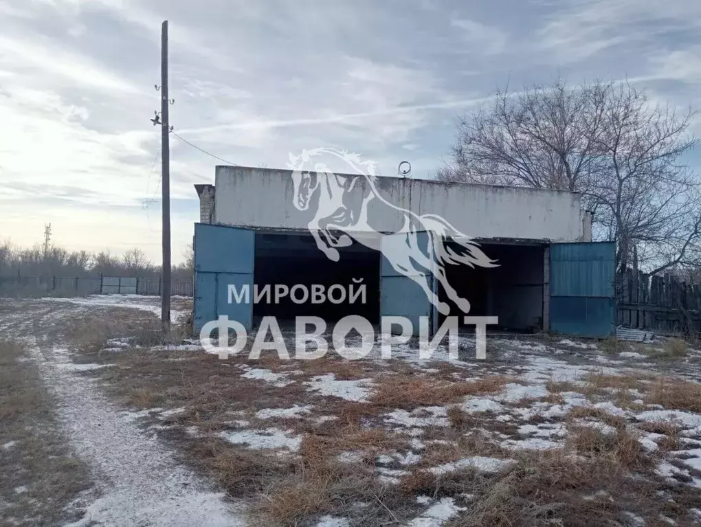Склад в Оренбургская область, с. Беляевка ул. Победы, 1Б (586 м) - Фото 1