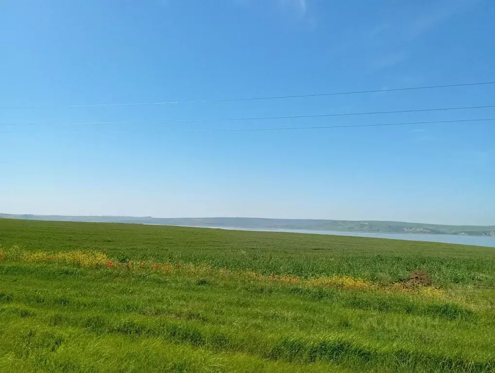Участок в Крым, Ленинский район, Заветненское с/пос  (1.0 га.) - Фото 1