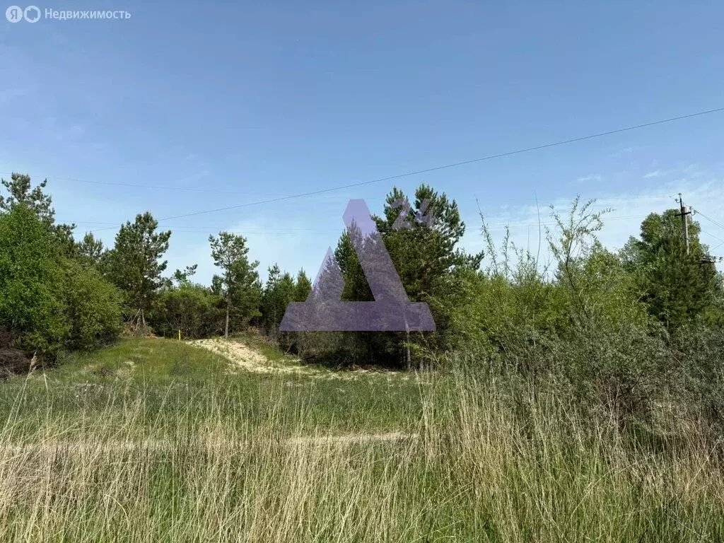 Участок в село Павловск, Демидовская улица, 9 (8 м) - Фото 1