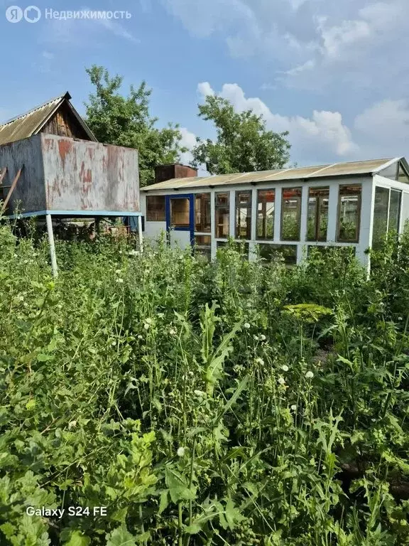 Участок в Скворчихинский сельсовет, деревня Новониколаевка, Степная ... - Фото 2