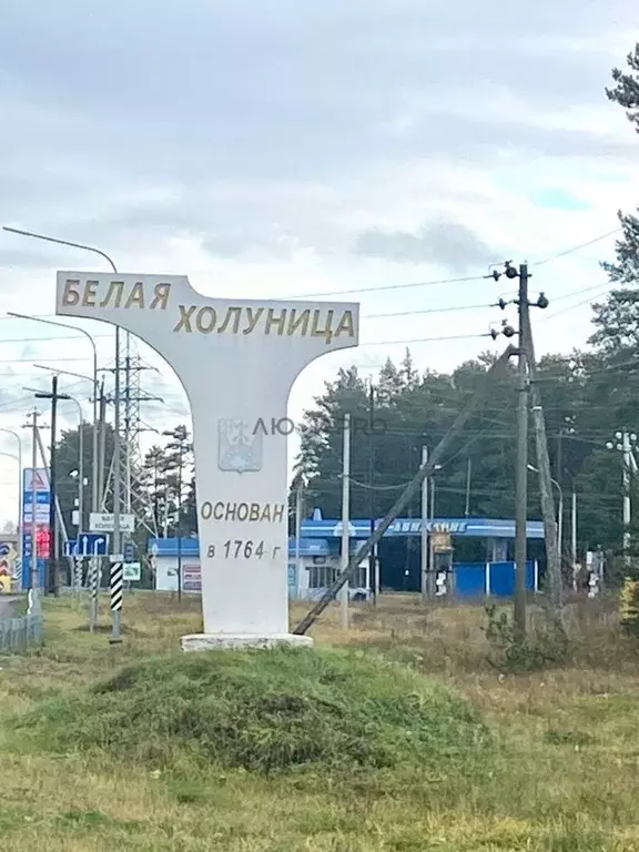 Дом в Кировская область, Белохолуницкое городское поселение, Деревня ... - Фото 2