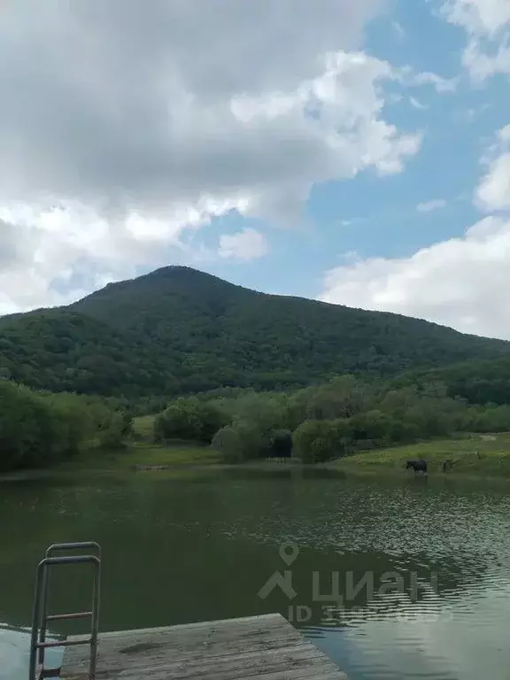 Дом в Краснодарский край, Геленджик городской округ, с. Михайловский ... - Фото 1