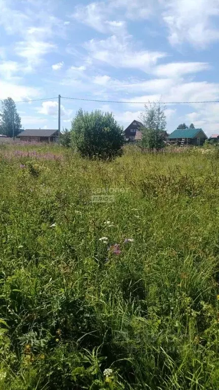 Участок в Вологодская область, с. Новленское ул. Северная (15.0 сот.) - Фото 1