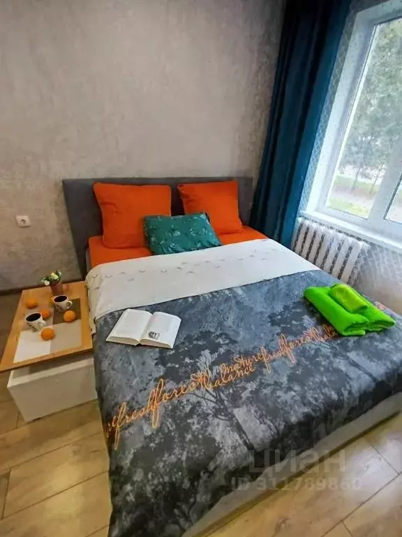 3-к кв. Псковская область, Псков Завеличье исторический район, ул. ... - Фото 2