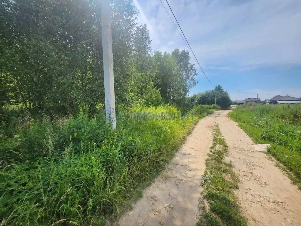 Участок в Нижегородская область, Нижний Новгород с. Шелокша, ул. ... - Фото 2