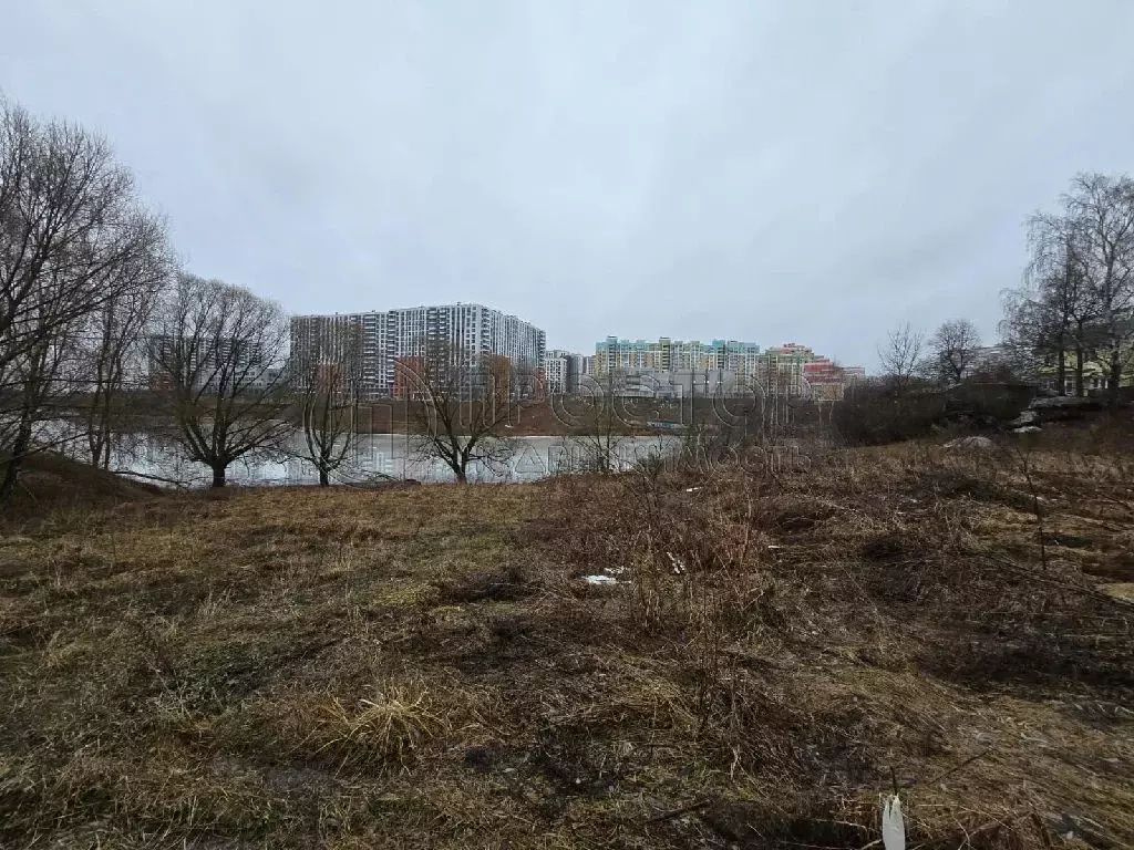 Продается участок в д. Пуговичино - Фото 1