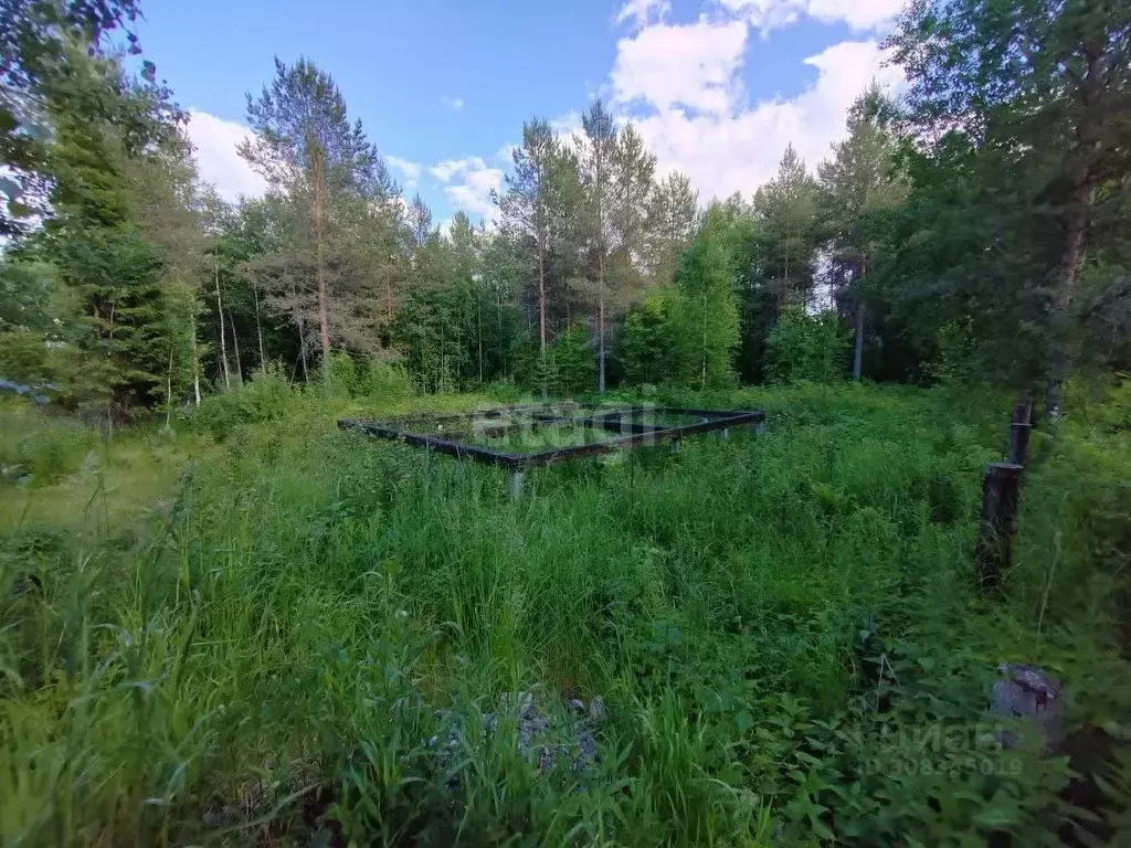 Участок в Архангельская область, Архангельск Ваганиха садовое ... - Фото 1