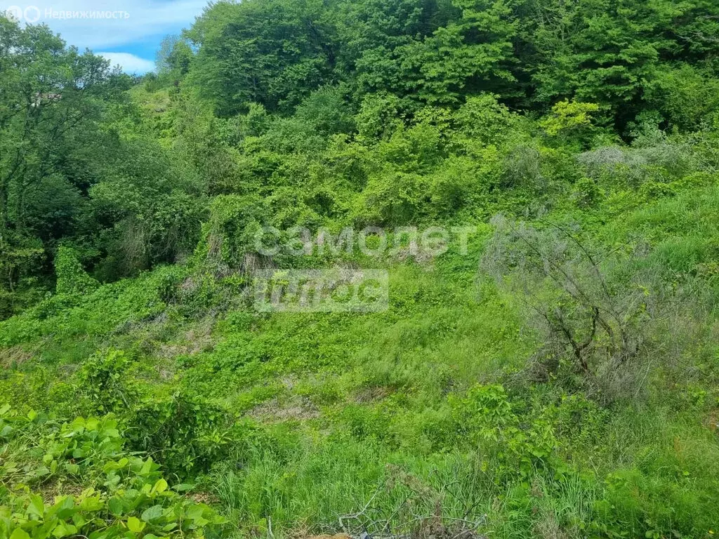 Участок в Сочи, Ленинаканская улица (6.51 м) - Фото 0
