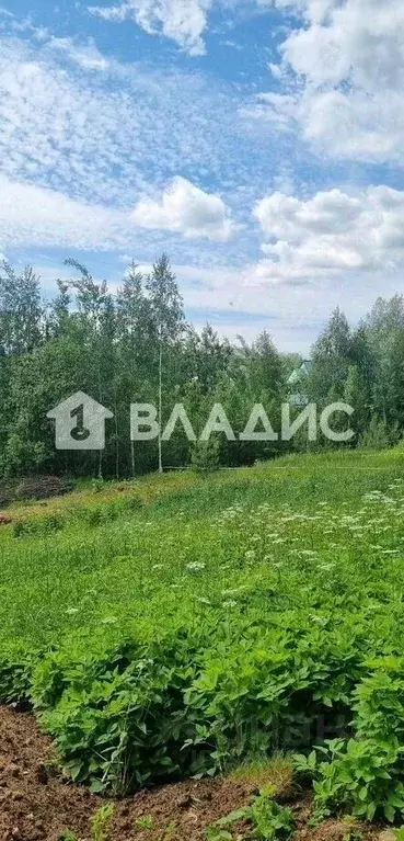 Участок в Ленинградская область, Всеволожский район, Колтушское ... - Фото 2