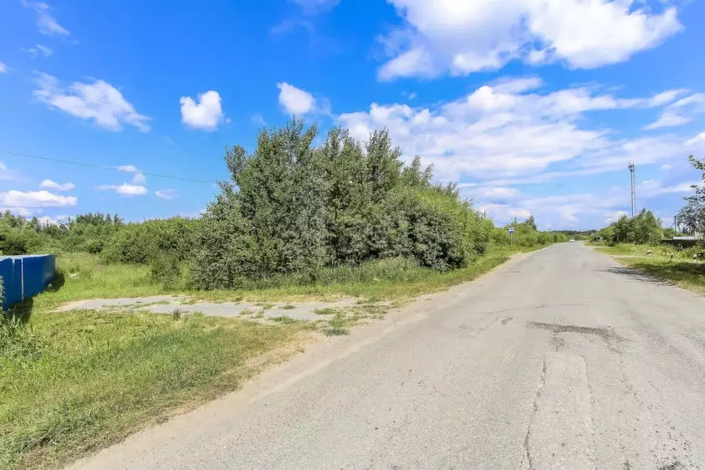 Участок в Тюменская область, Нижнетавдинский муниципальный округ, ... - Фото 1