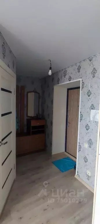 Студия Саратовская область, Саратов Наумовская ул., 11А (31.0 м) - Фото 0