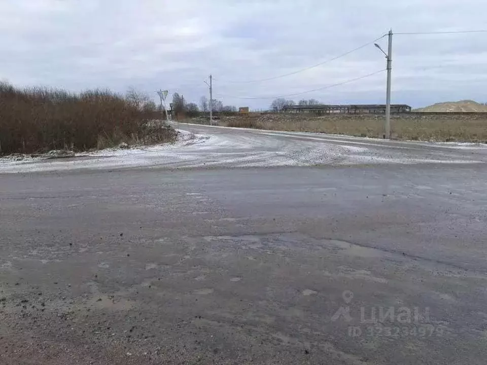 Участок в Псковская область, Псковский муниципальный округ, Тямшанская ... - Фото 2