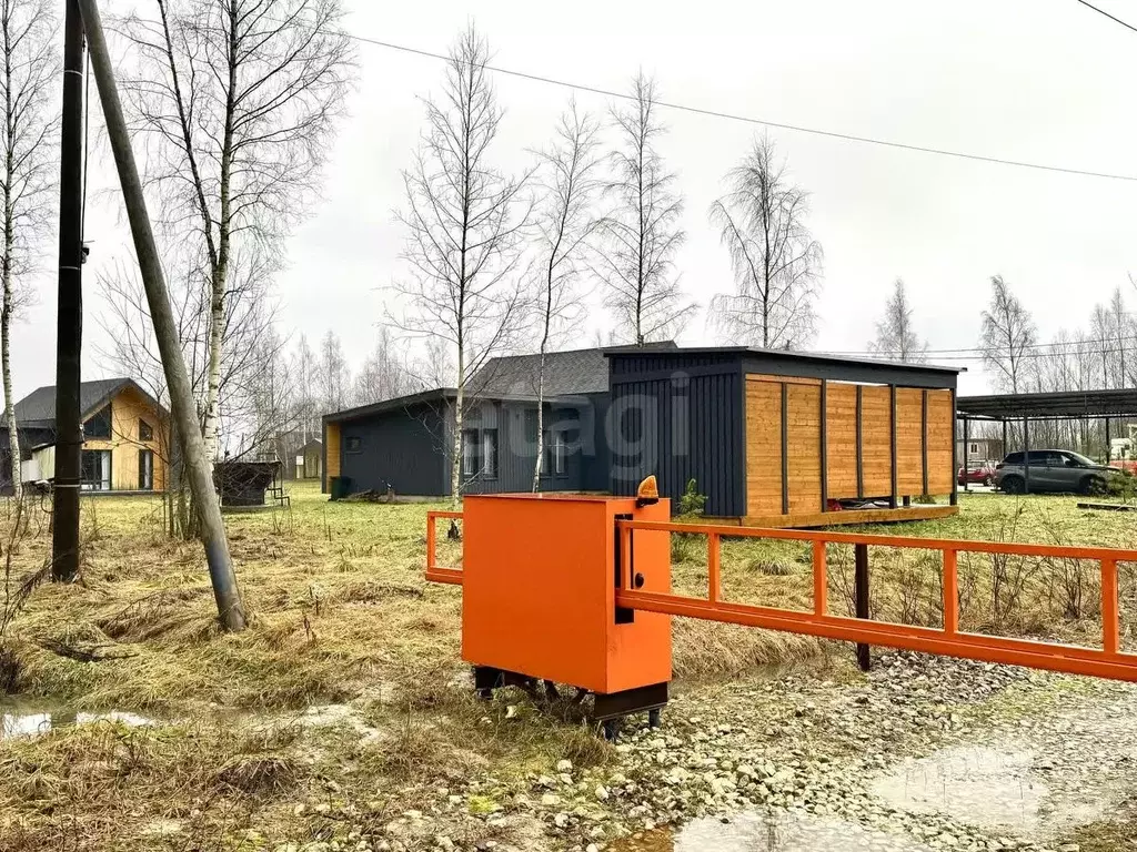 Участок в Ленинградская область, Ломоносовский район, Лопухинское ... - Фото 1