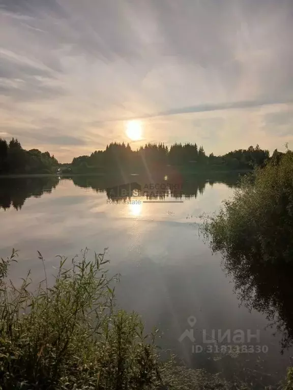 Участок в Новгородская область, Новгородский район, Бронницкое с/пос, ... - Фото 0