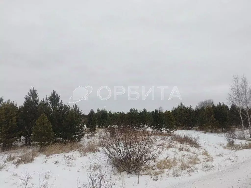 Участок в Тюменская область, Нижнетавдинский муниципальный округ, с. ... - Фото 2