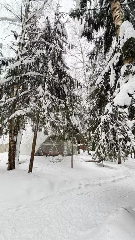 Дом в Московская область, Звенигород Одинцовский городской округ, ... - Фото 2