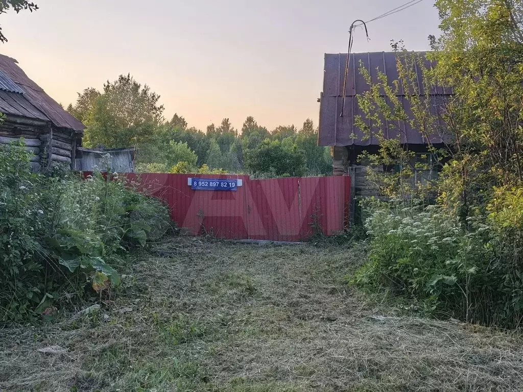 Участок 30 сот. (СНТ, ДНП) - Фото 0